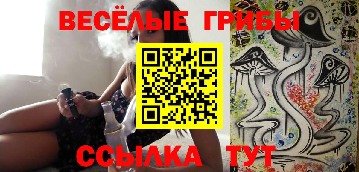 Псилоцибиновые грибы прущие грибы Кириши